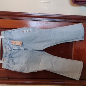 Levi's 18W blue jean